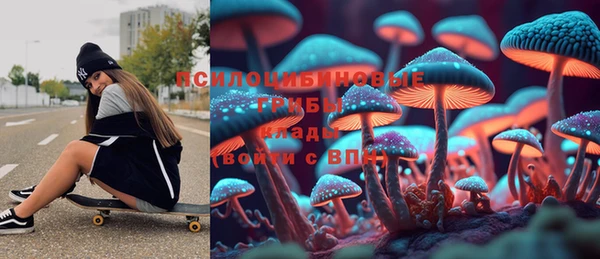 спиды Богородск