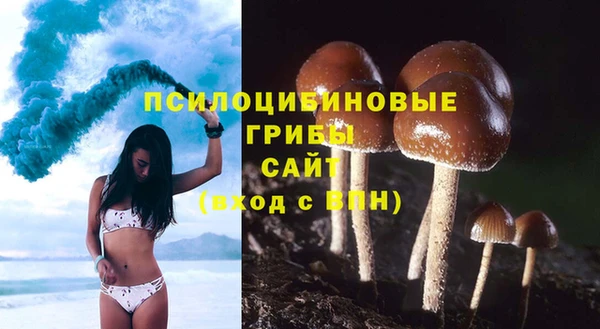 альфа пвп Беломорск