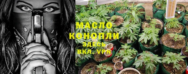 спиды Богородск