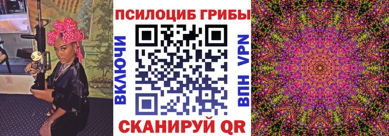 OMG как зайти Бобров Псилоцибиновые грибы MAGIC MUSHROOMS
